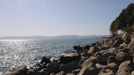 Pan-Across-The-Shore-Of-The-Sea-Of-Galilee-In-Israel-With-Small-Fish