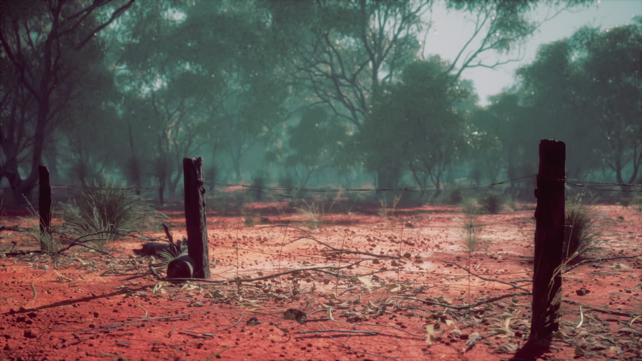 valla de alambre de púas en un paisaje desierto