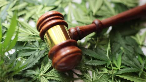 gavel resting on cannabis leaves, symbolizing marijuana law and legal reform