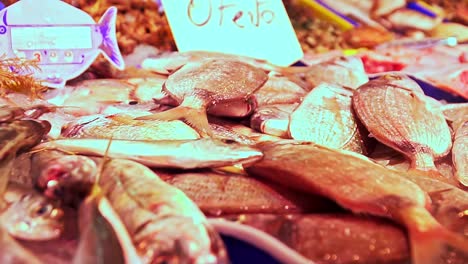 Close-Up-Shot-Of-Fresh-Fish-In-Fish-Market-In-Barbate-Port,-Cadiz,-Spain