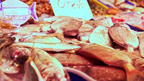 nærbillede af frisk fisk på fiskemarkedet i barbate port, cadiz, spanien