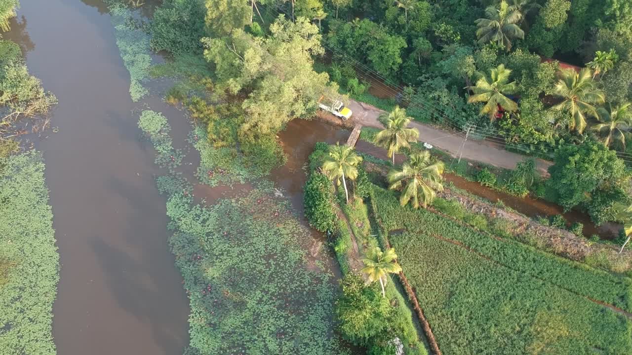 aldea de campos de arroz asiáticos, tiro aéreo, riego, río, amanecer, cocos