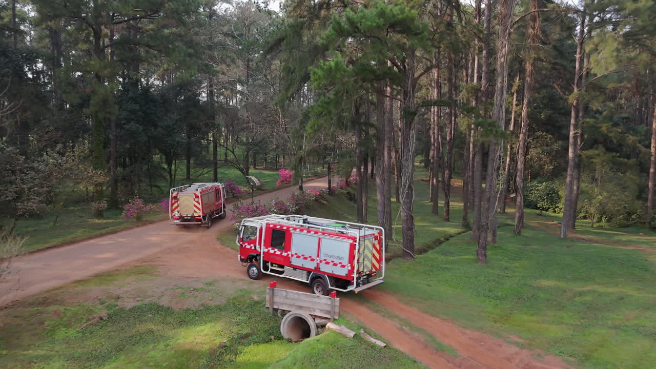 Emergency Fire Trucks on Rural Dirt Road in Forest Conservation Area, aerial view