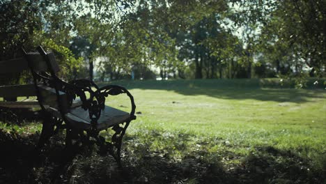 beautiful garden setting sunshine shining through tree branches by bench