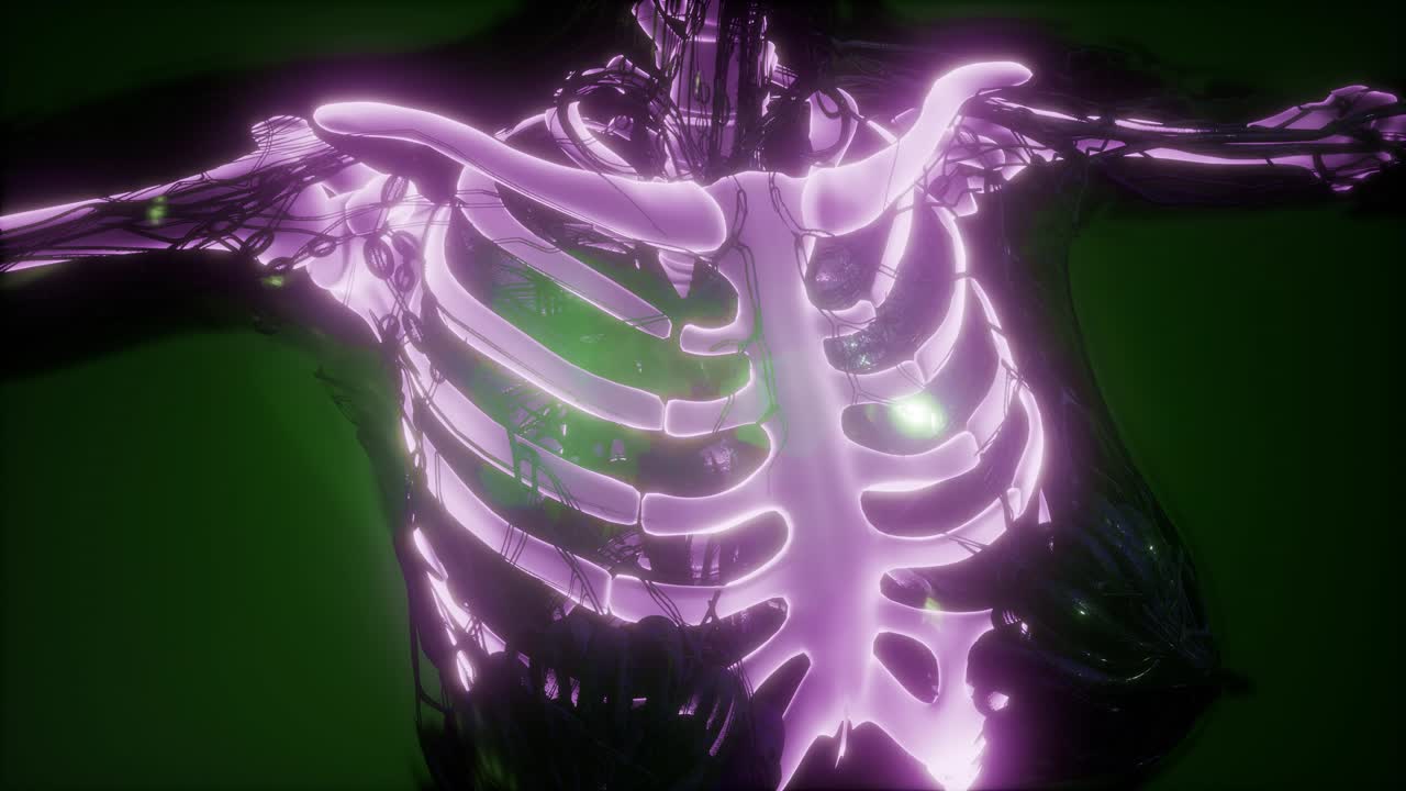 cuerpo humano con huesos esqueléticos visibles