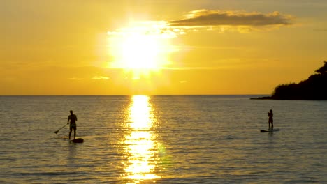 silhouette of paddle board in the ocean at sunset, golden hour crop zoom in