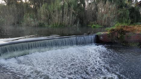 Morning-mist-drifts-on-pond-at-wier-dam,-African-Black-Duck-at-weir