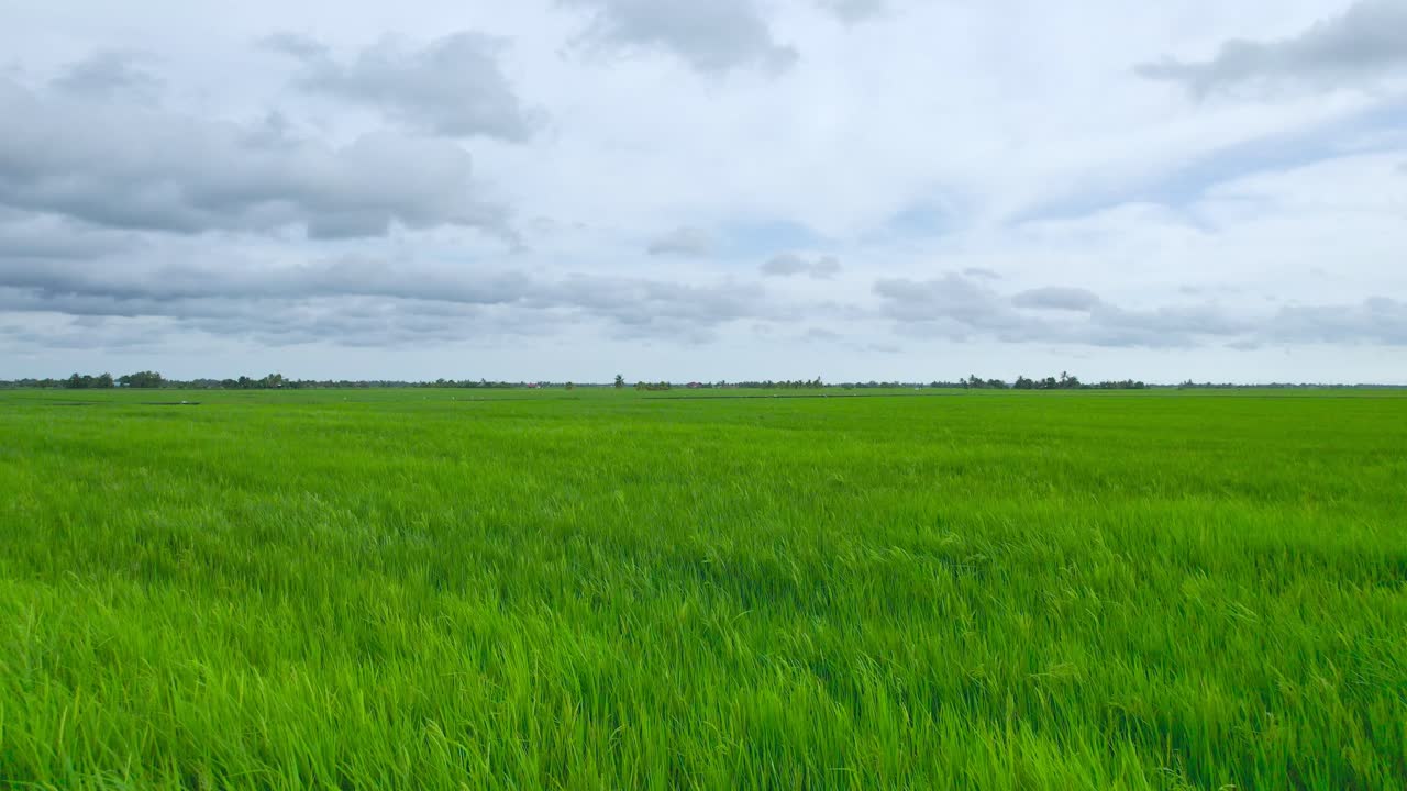 구름이 많은 날에 아름다운  위를 날아다니는 낮은 항공기