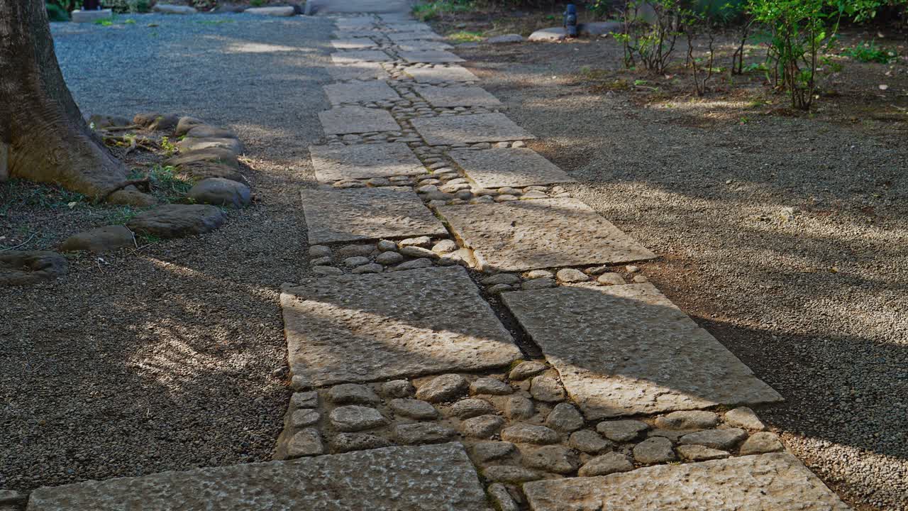A smooth tilt up from a rustic stone and pebble path to reveal a serene Japanese garden with lush greenery and a large tree in soft sunlight