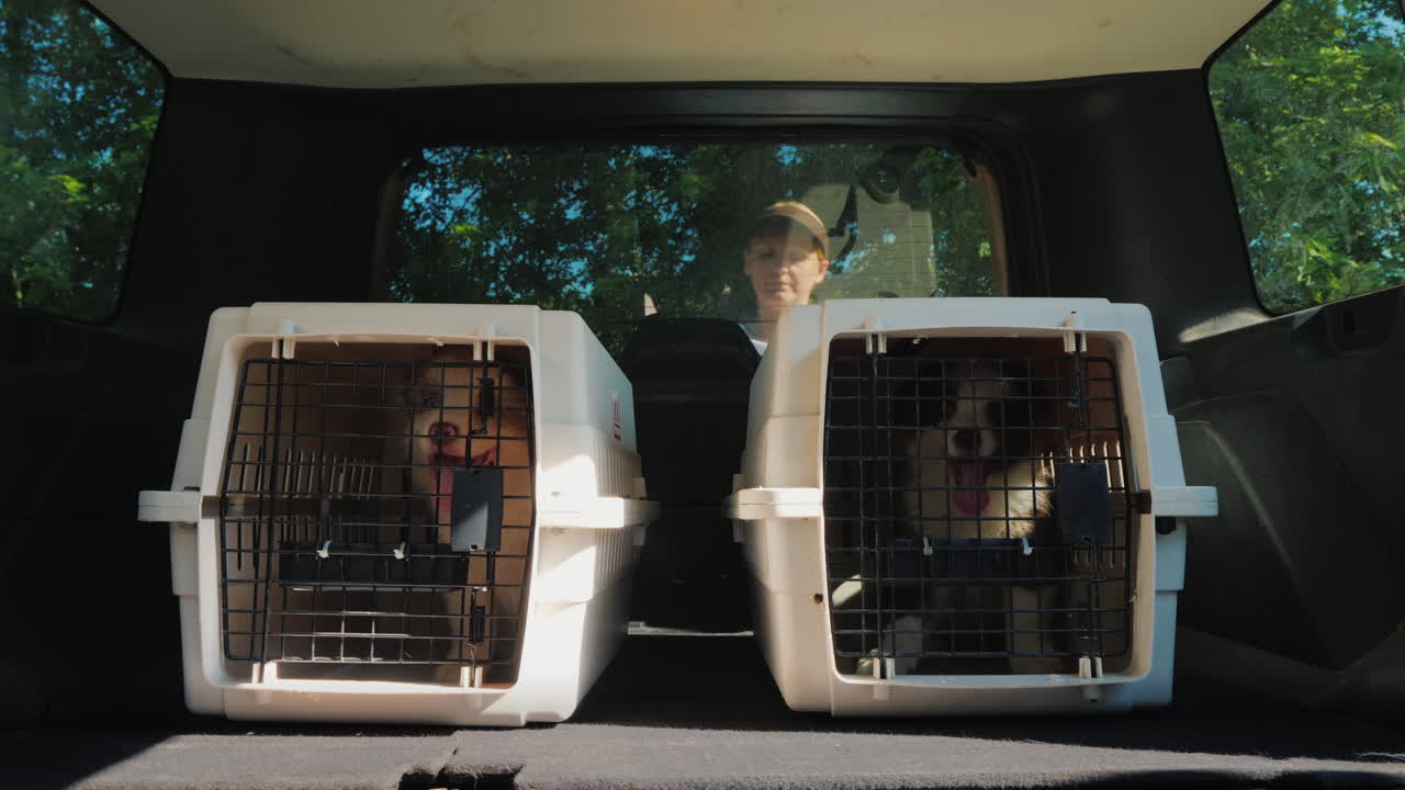 한 젊은 여성이 자동차 운송 및 동물 보호소 개념의 트렁크에서 개 우리를 당깁니다.
