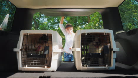 a young woman pulls cages from dogs from the trunk of a car transportation and animal shelter concep