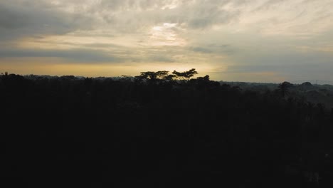 amazing cinematic ubud, bali drone footage with exotic sunrise, small farms and agroforestry plantation