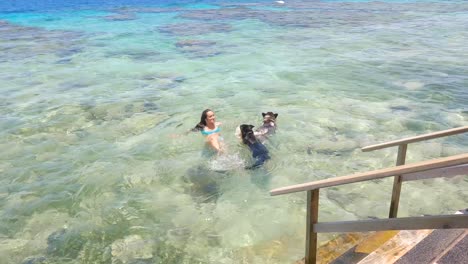 young woman in a bikini swimming with 2 dog in a tropical sea, honduras, utila