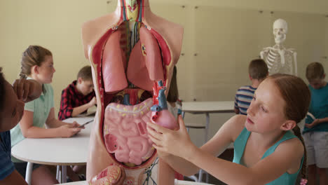 grupo de niños tocando el modelo de anatomía humana