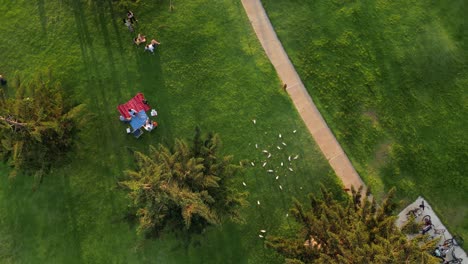 La-Gente-Se-Relaja-Y-Hace-Un-Picnic-Mientras-Socializa-En-El-Prado-Verde-Del-Parque-South-Beach-En-Fremantle-En-Australia-Con-Pájaros-Volando-Por-Encima