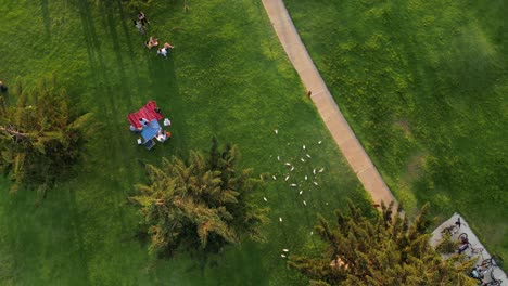 la gente se relaja y hace picnic mientras se socializa en el prado verde del parque south beach en fremantle en australia con pájaros volando por encima