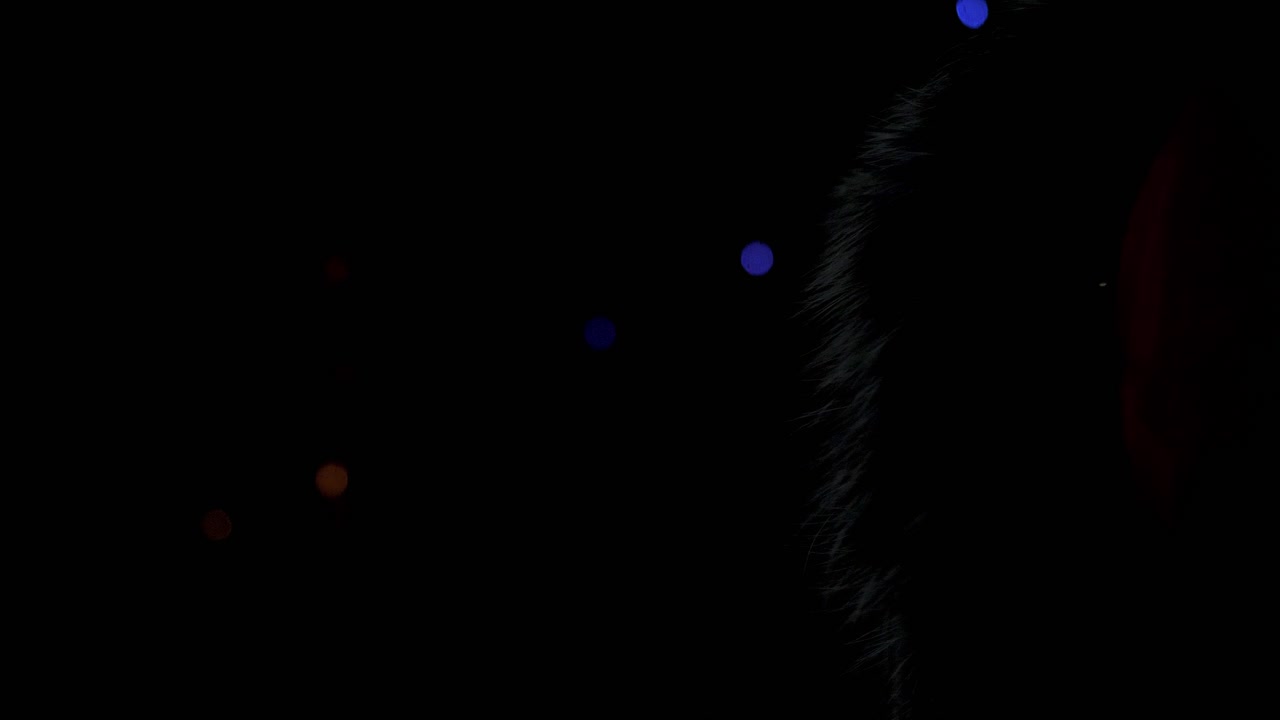 겨울의 불꽃놀이와 털로 된 재