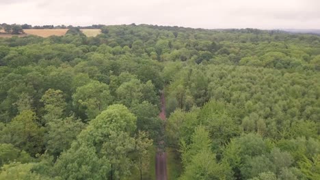 flight over a road through woodland