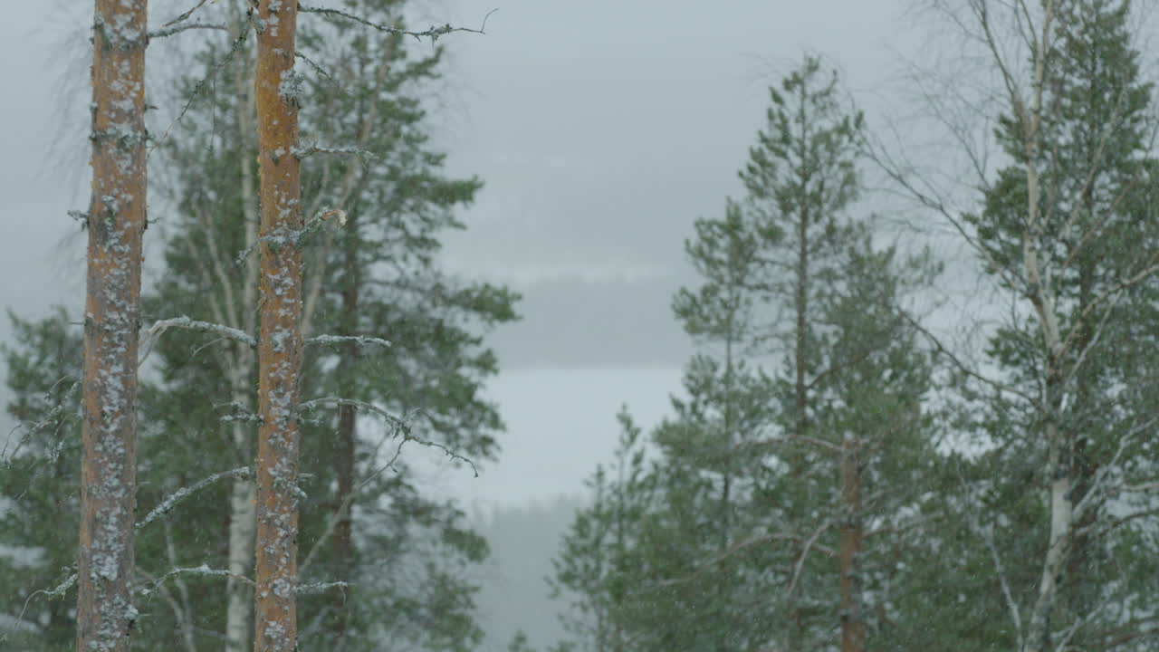 una mañana nevada en la montaña