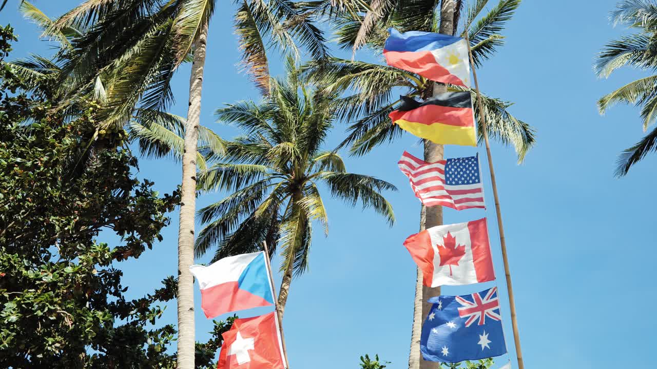 Multiple national flags waving in tropical breeze under palm trees blue sky