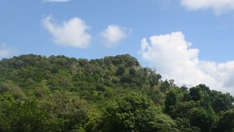 nube lluviosa moviéndose sobre la montaña del bosque tropical