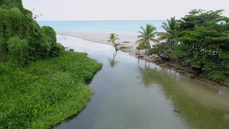 aerial lowering toward palm tree at barahona and rio los patos. sky for copy space