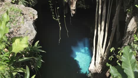 Cenote-Crystal-07