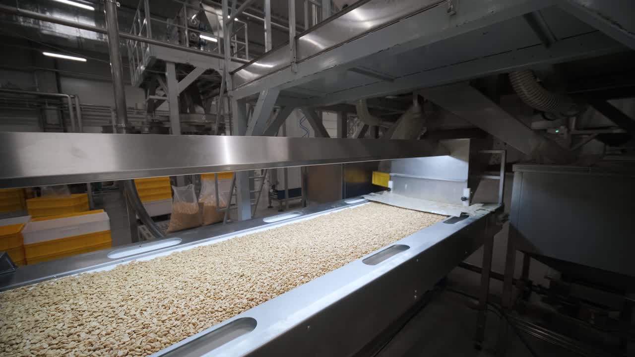 Raw nuts on a conveyor belt. Drying, roasting and packaging, the production process of light snacks. Factory production.