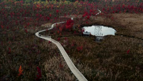 the beautiful scenery of colorful autumn trees with bridge at magog of memphremagog lake in eastern townships, quebec canada - aerial shot