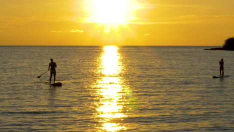 silhouette of paddle board in the ocean at sunset, golden hour crop pan