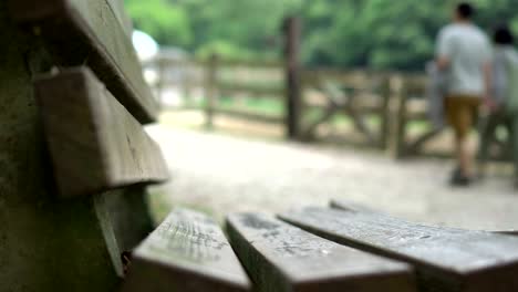 empty wooden chairs and visitors in the pasture