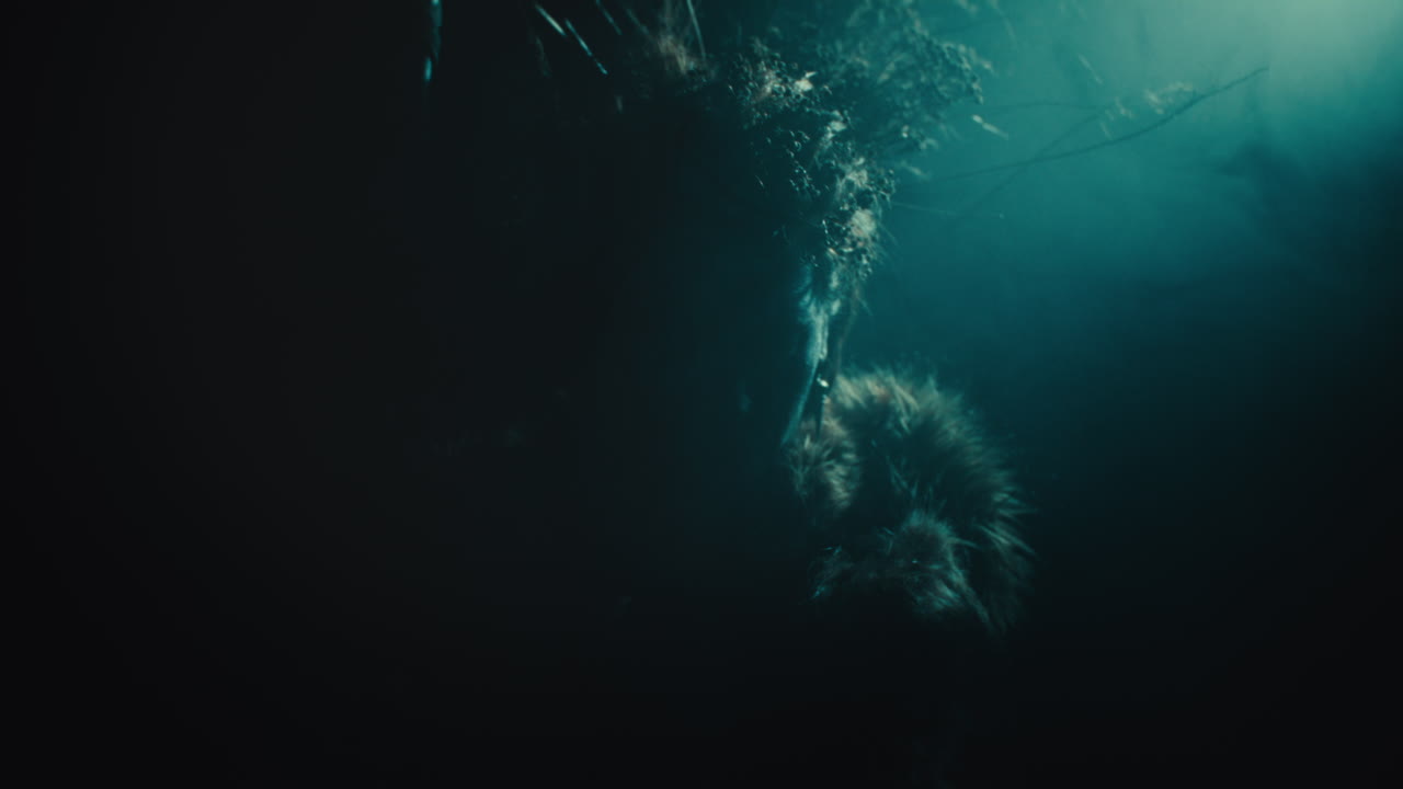 A creepy witch stands in the moody pose during the night storm