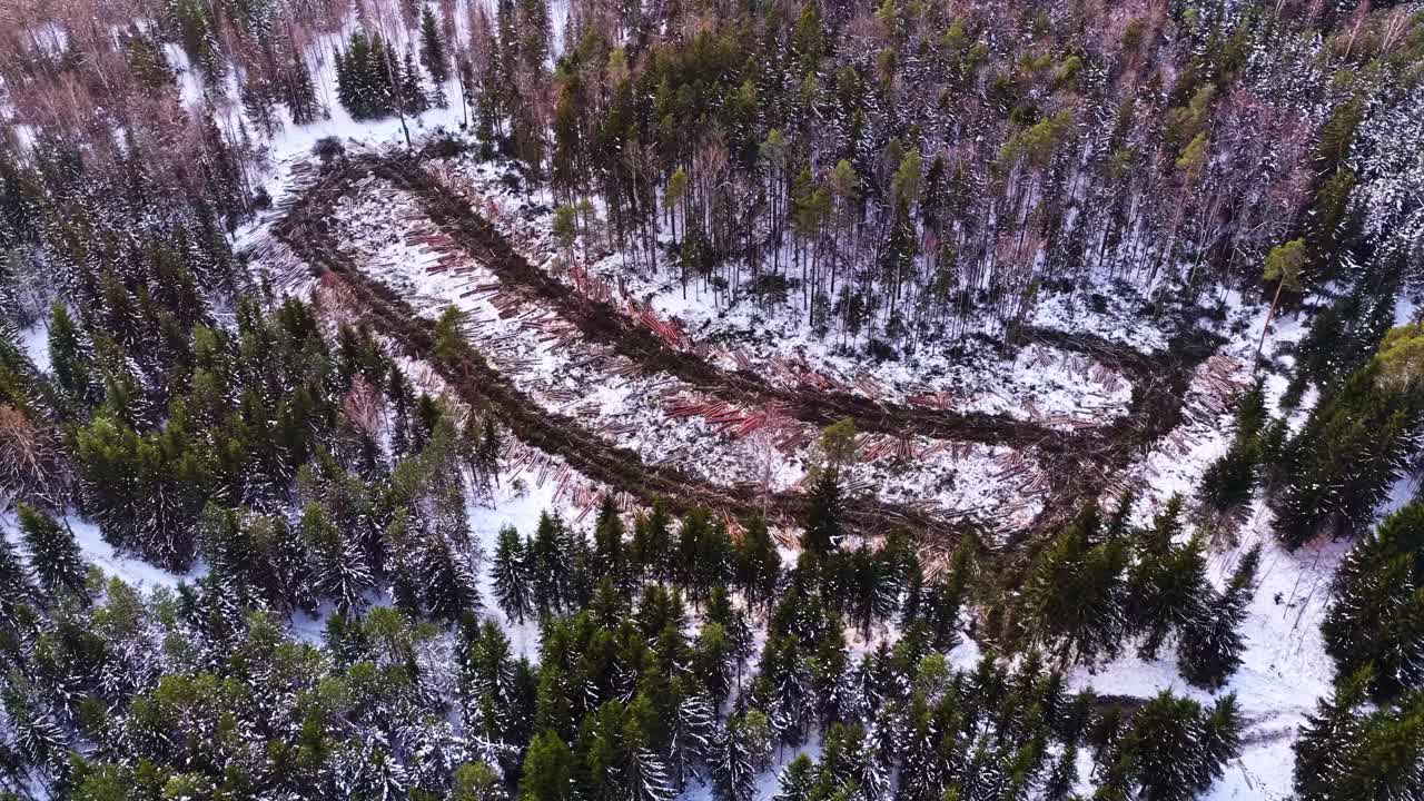 Area of deforestation in a snowy landscape. Aerial view