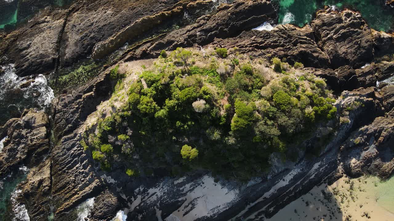 Trees growing on a small coastal headland rising above the ocean along the Australian coastline. Aerial view looking down