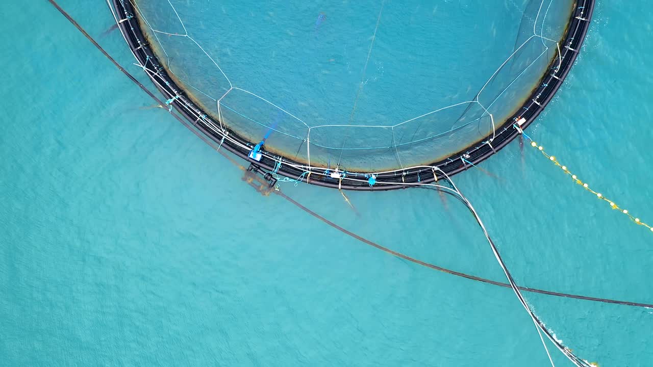 노르웨이에서 연어  ⁇ 시를 하는 공중 촬영