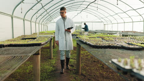 científico de plantas, tabletas y invernaderos