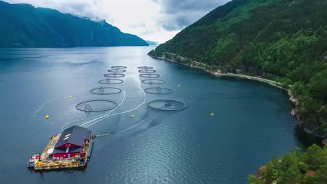 imágenes aéreas de granjas de pesca de salmón en noruega