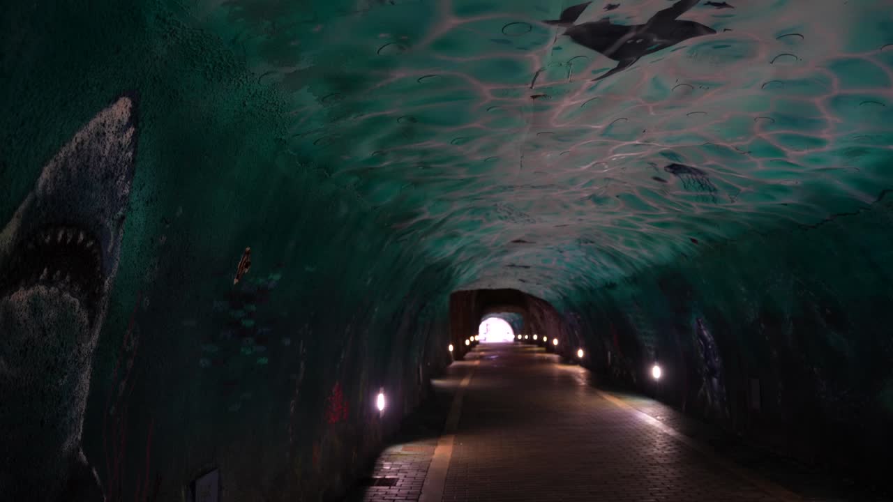 Underwater Tunnel Graffiti Art