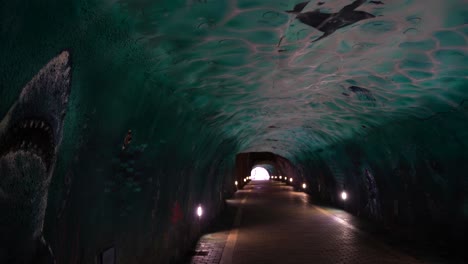 Underwater Tunnel Graffiti Art