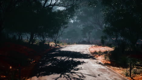 straight route marking going along tall forest