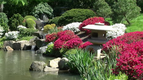 stone lanterns and azalea bushes along the edge of a koi pond in a japanese garden