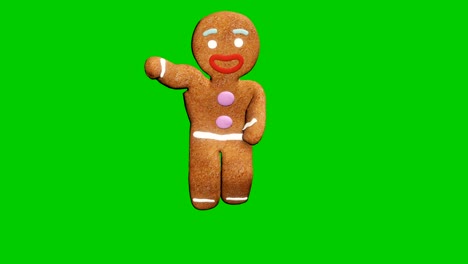 the gingerbread man is dancing a christmas dance. the concept of the celebration. looped animation in front of green screen.