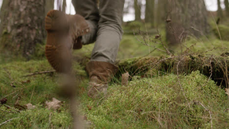 boots walking through mossy woodland floor