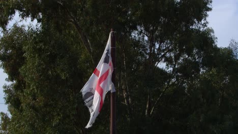 Waving-Sardinia-flag-against-beautiful-green-tree,-static-view