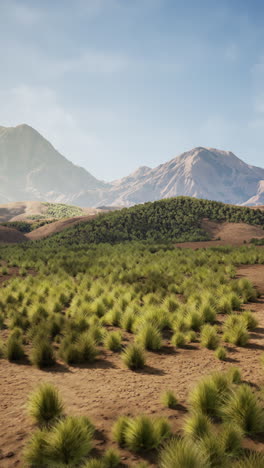 scenic view of a grassy field with mountains in the background