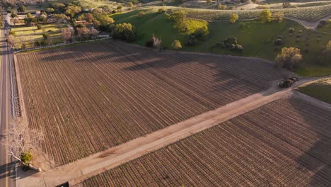 Drones-Volando-Sobre-Tierras-De-Cultivo-En-La-Región-Vinícola-Durante-El-Día,-Campos-Agrícolas-De-Santa-Ynez-California-Con-Laderas-Onduladas