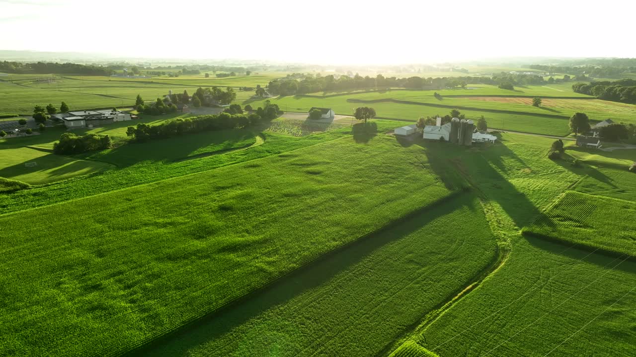 campos de cultivo verde en las zonas rurales de estados unidos