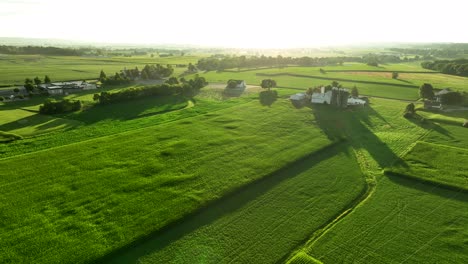 green farm fields in rural usa