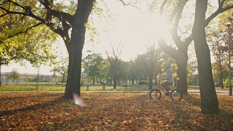 Child Riding a Bicycle in a Park in Autumn