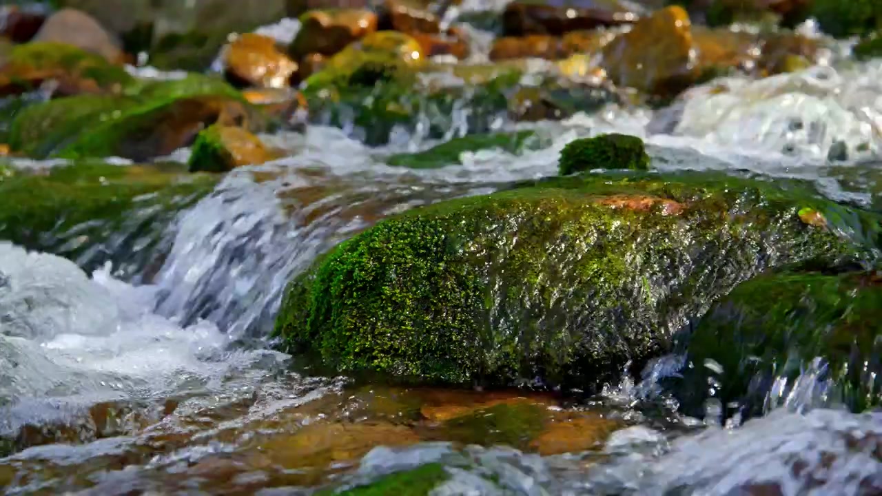 Close-up of Clear Water Flowing Over Mossy Rocks in a Stream